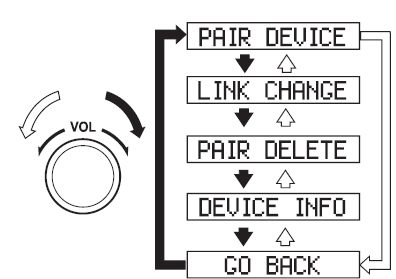 Mit Radiodatensystem (RDS)