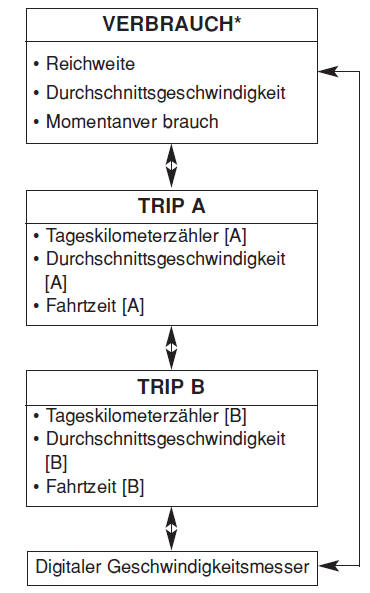 Ausführung B