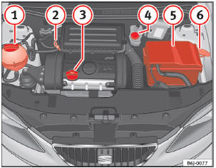 Seat Ibiza Betriebsanleitung