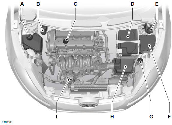 Ford Fiesta Motorraum Übersicht 1.25L Duratec16V