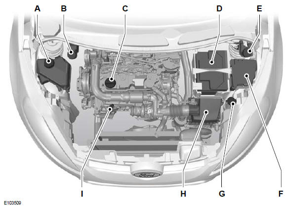 Ford Fiesta Betriebsanleitung