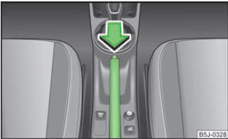 Skoda Fabia Betriebsanleitung